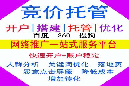 竞价SEM托管服务效果评估与案例分析